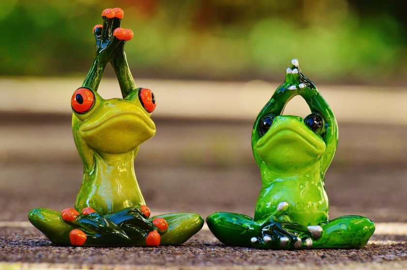 frogs-1030283_1280